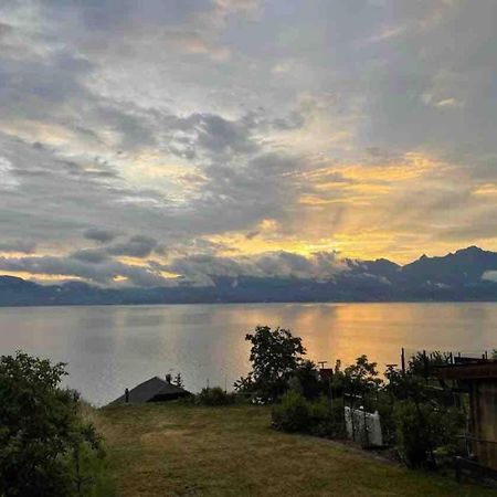 Chez Malou & Hugo Vue Lac Proche Suisse & Stations ! サン・ジャンゴルフ エクステリア 写真
