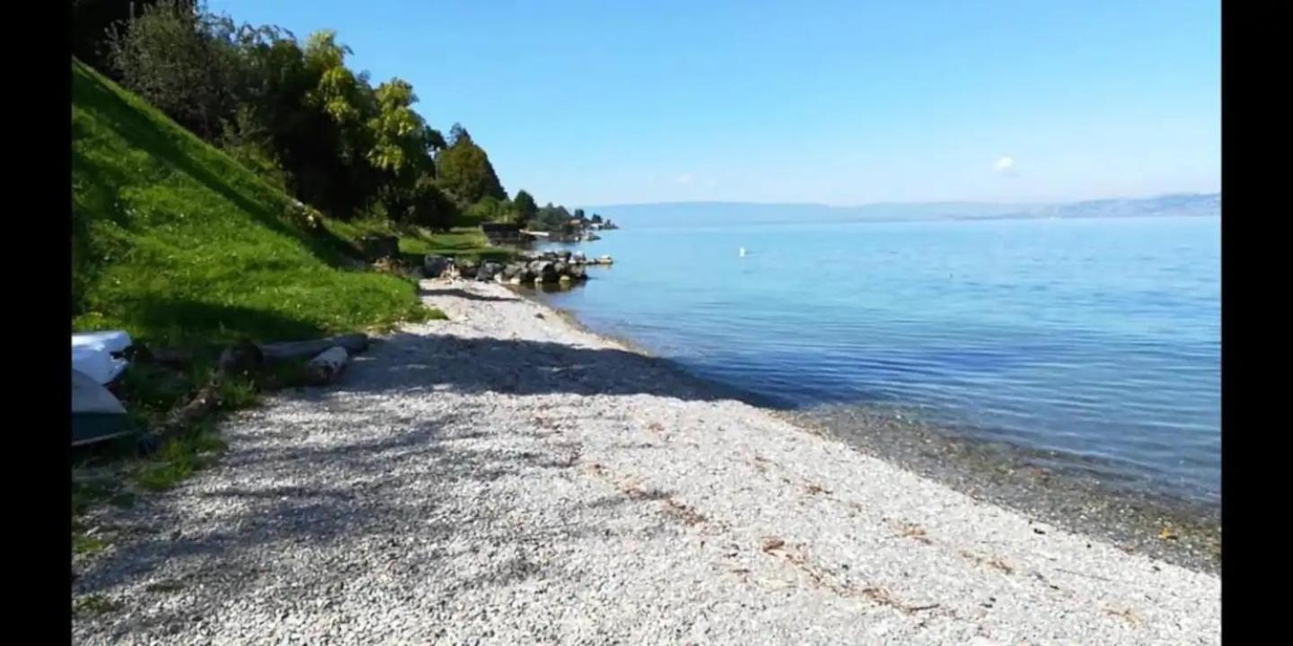 Chez Malou & Hugo Vue Lac Proche Suisse & Stations ! サン・ジャンゴルフ エクステリア 写真